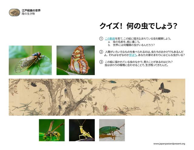 Thumbnail of クイズ！ 何の虫でしょう？, PDF