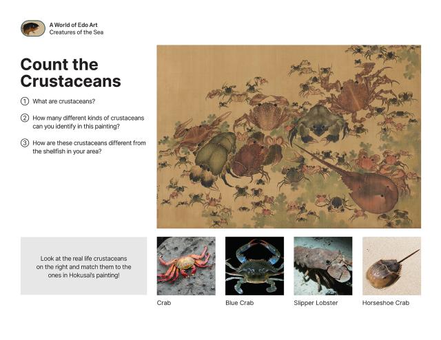 Thumbnail of Count the Crustaceans, PDF