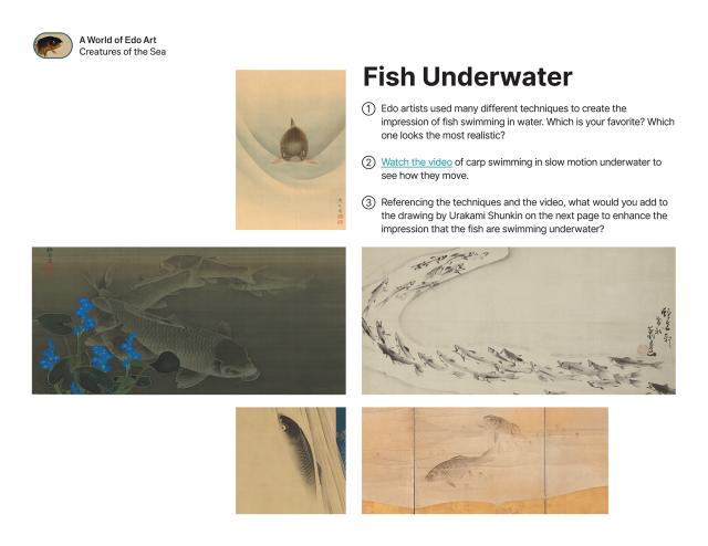 Thumbnail of Fish Underwater, PDF