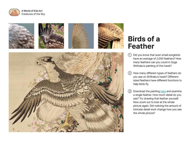 Thumbnail of Birds of a Feather, PDF