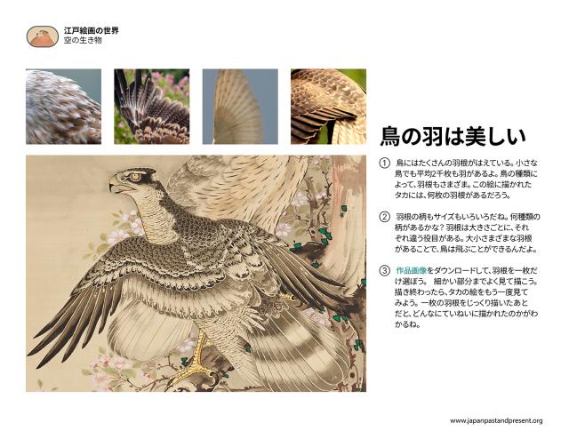 Thumbnail of 鳥の羽は美しい, PDF