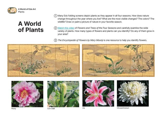 Thumbnail of A World of Plants, PDF