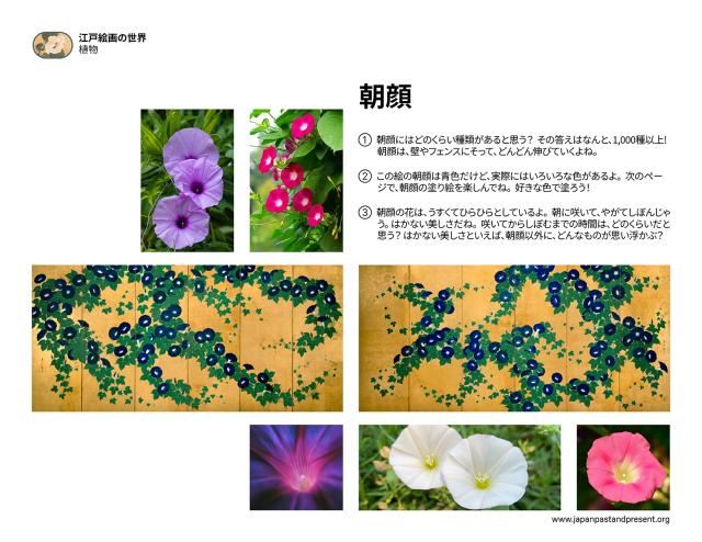 Thumbnail of 朝顔, PDF