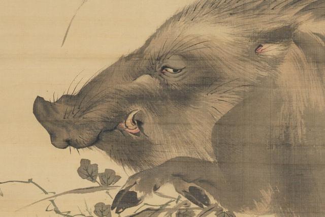 A color painting of the head of a wild boar, seen from the side, with the boar looking to the viewer's left. The single visible eye looks back towards the direction of its body.