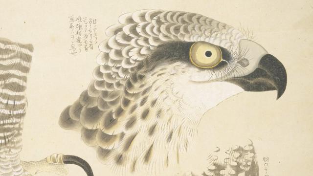 Image of Ōkyo and Shasei by Maruyama Ōkyo