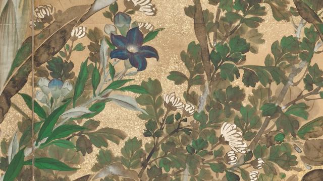 Image of 四季花木図屏風 by Watanabe Shikō