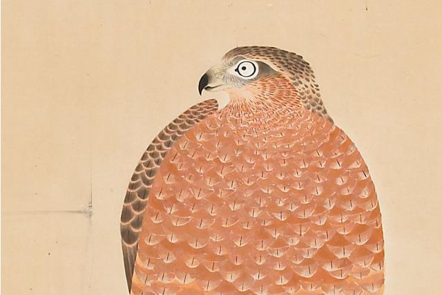 Image of 架鷹図 by Tosa School