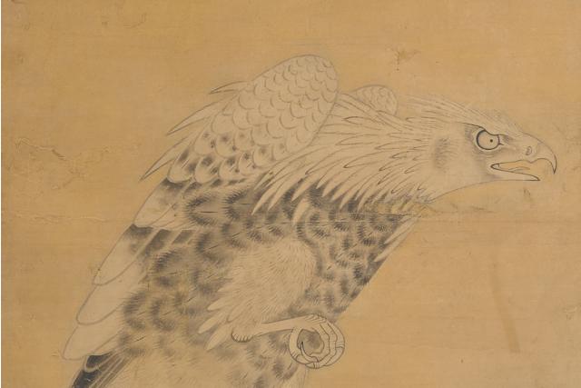 Image of 雪中梅に鷹図屏風 by Soga Nichokuan