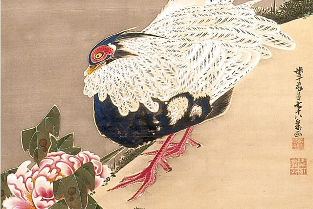 Image of 牡丹白鷳之図 by Itō Jakuchū