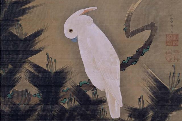 Image of 松に鸚鵡図 by Itō Jakuchū