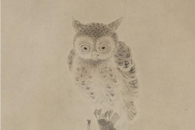 Image of 枯木に梟図 by Watanabe Shikō