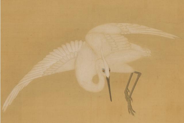 Image of 鷺図 by Tosa School