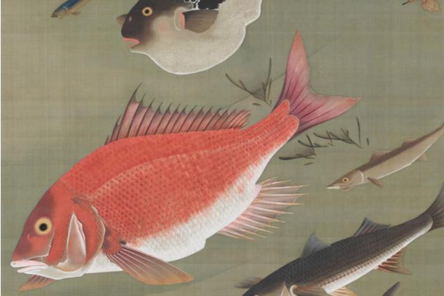 Image of 群魚図《動植綵絵》のうち by Itō Jakuchū