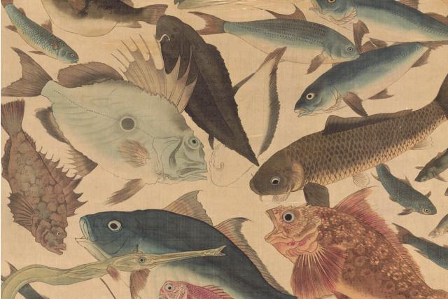 Image of 八十八魚図 by Utagawa Yoshikazu