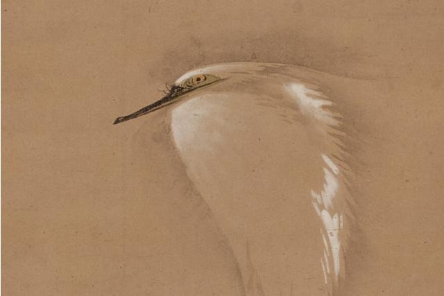 Image of 擬宝珠に白鷺図 by Katsushika Hokusai