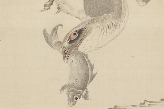 Image of 鷙鳥図 by Katsushika Hokusai