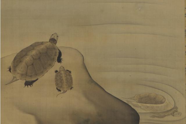 Image of 亀図 by Maruyama Ōkyo