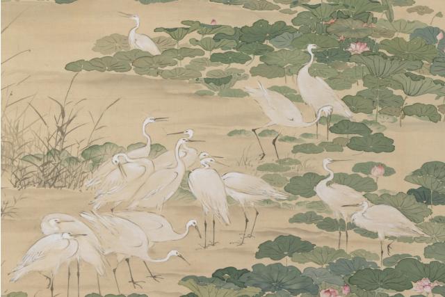 Image of 蓮池白鷺図 by Yamamoto Baiitsu