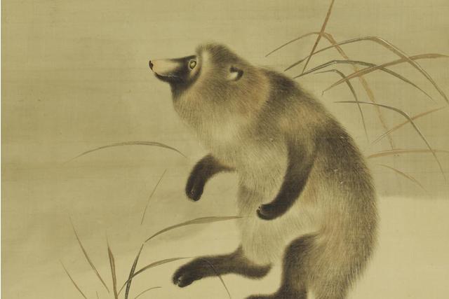 Image of 狸図 by Mori Ippo