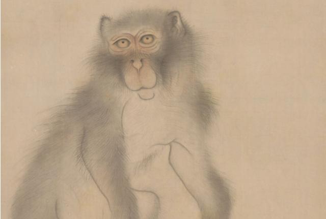 Image of 猿亀図 by Nagasawa Rosetsu