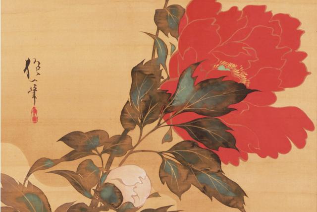 Image of 紅白牡丹図 by Sakai Hōitsu