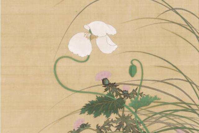 Image of 草花図 by Suzuki Kiitsu