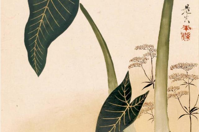 Image of 芋葉に藤袴図 by Shibata Zeshin