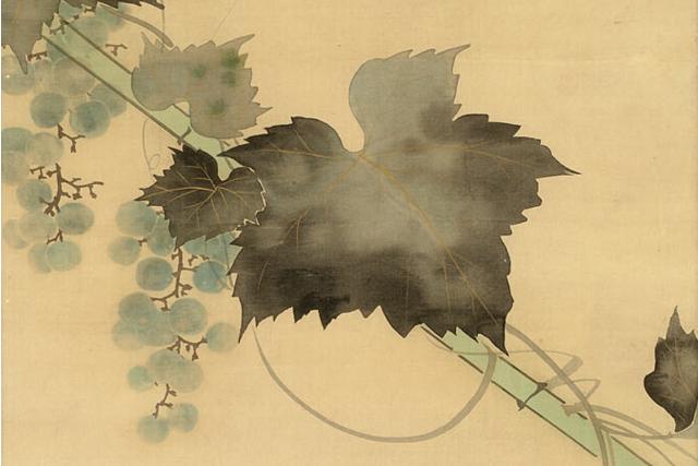Image of 葡萄図 by Sakai Ōho