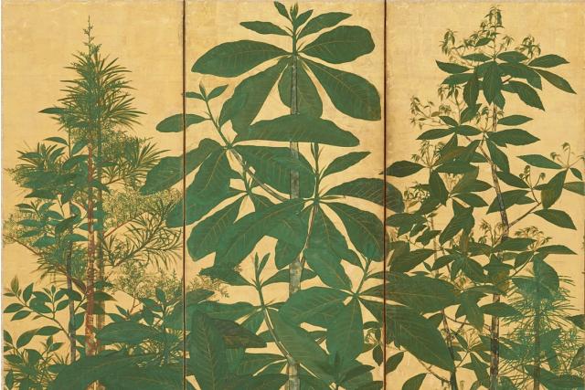Image of 雑木林図屏風 by Studio of Sōtatsu