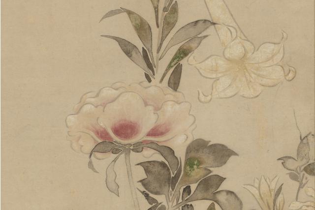 Image of 芍薬と百合図 by Tawaraya Sōtatsu