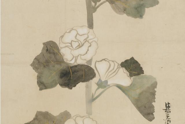 Image of 立葵図 by Ogata Kōrin