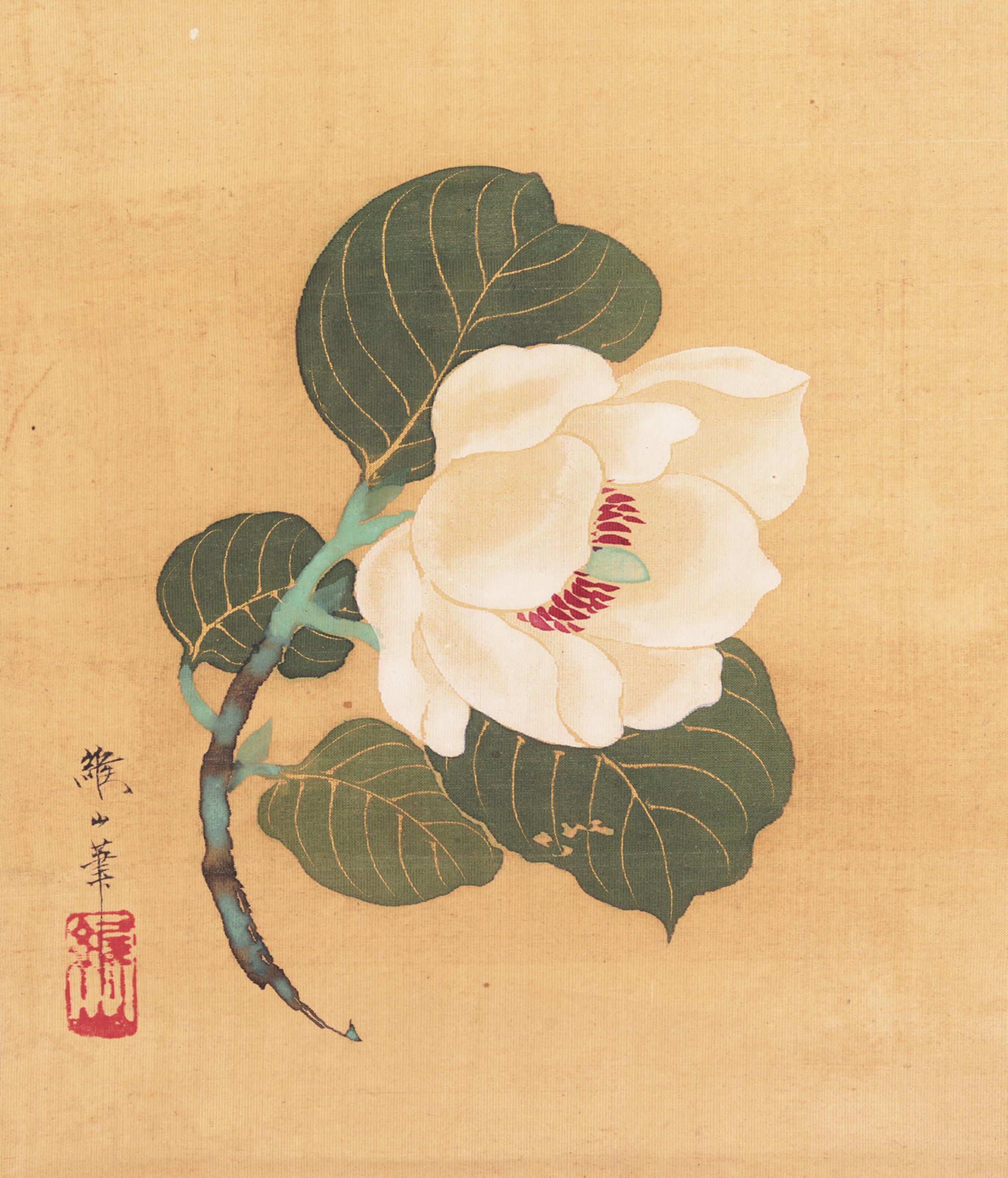 Color painting of a large white flower with large petals angled to the right, with numerous red stamens visible in the center. The flower is attached to a red and brown stem with numerous large green leaves.